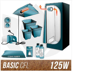 Basic CFL 125W